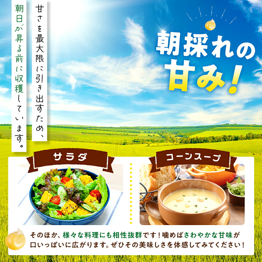 【2027年先行予約 6月下旬から出荷】 スイートコーン 約5kg 10~14本 冷蔵 国産 とうもろこし 先行予約 ミーナコーン 数量限定 コーン 野菜 新鮮 焼き 蒸し コーン 産地 直送 甘い
