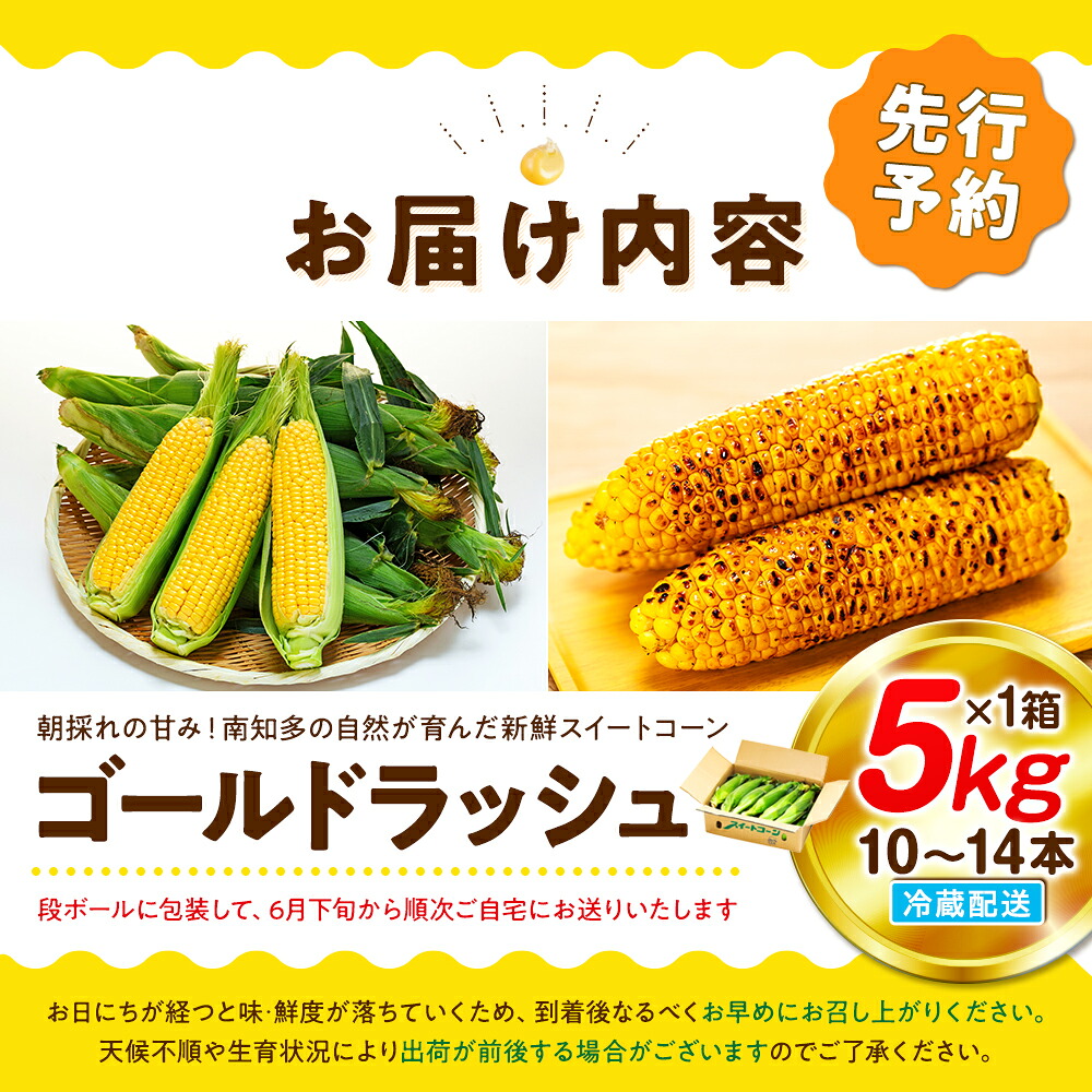 【2027年先行予約 6月下旬から出荷】 スイートコーン 約5kg 10~14本 冷蔵 国産 とうもろこし 先行予約 ミーナコーン 数量限定 コーン 野菜 新鮮 焼き 蒸し コーン 産地 直送 甘い