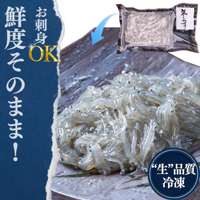 生しらす(お刺身) 約500g-1.2kg (各100g) 岬だより 小分け しらす 人気 おすすめ 愛知県南知多町