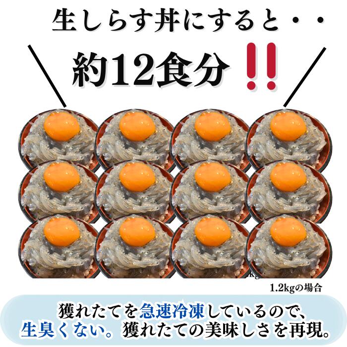 生しらす(お刺身) 約500g-1.2kg (各100g) 岬だより 小分け しらす 人気 おすすめ 愛知県南知多町