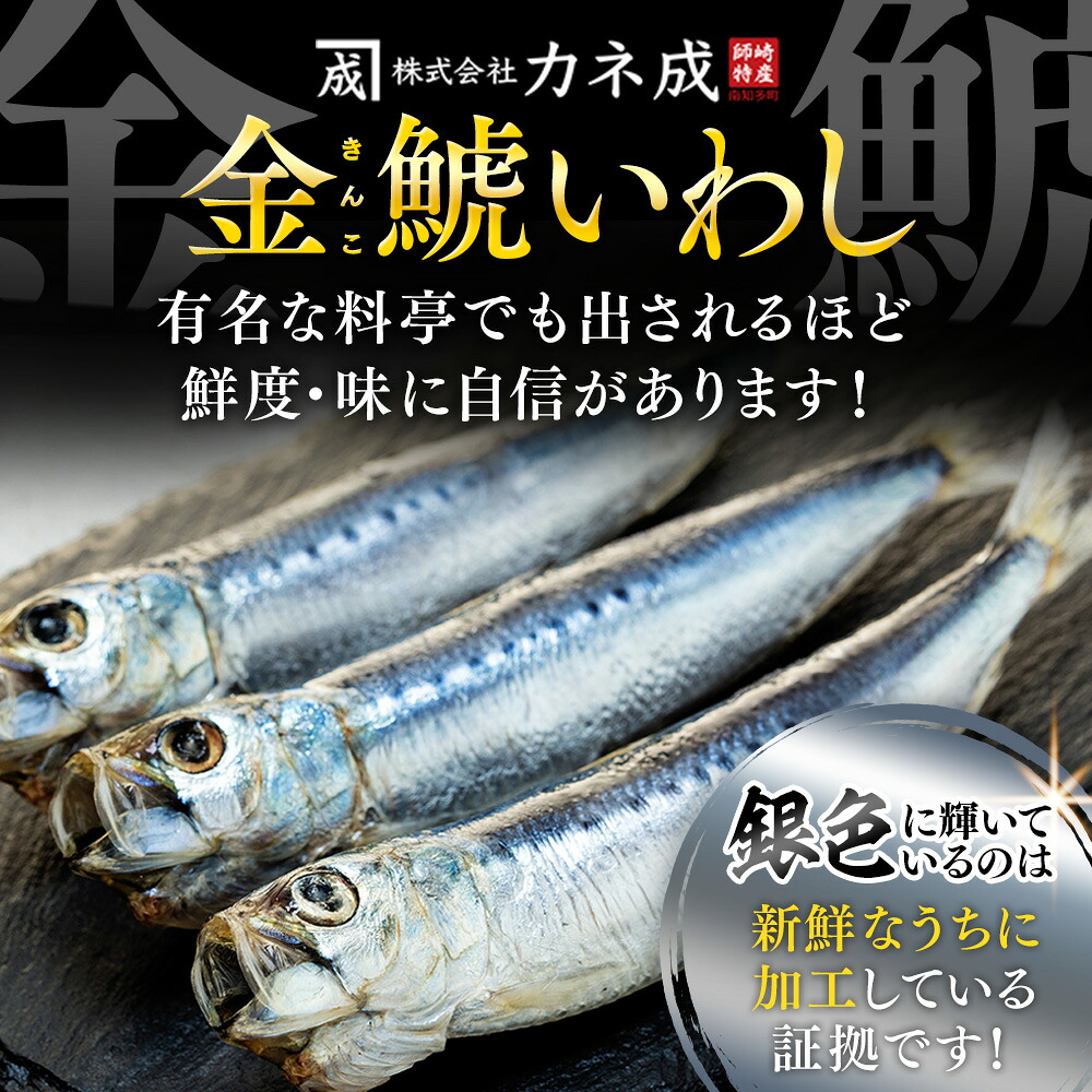 いわし 丸干し 冷凍 24-48尾(8尾×3-6袋) 小分け 干物 鰯 イワシ いわし 鰯 イワシ 干物 いわし 鰯 イワシ 干物 いわし 鰯 イワシ 干物 いわし 鰯 イワシ 干物 ご飯のおとも 酒の肴
