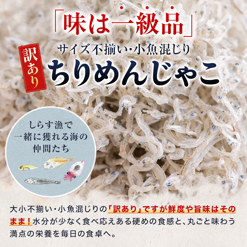 訳あり ちりめんじゃこ 冷凍 小分け 300g-1.5kg ちりめん じゃこ 海鮮 海産物 ふりかけ 佃煮 ちりめん つくだに 魚 海鮮 ごはん 米 しらす おやつ シラス 愛知県 南知多町 shirasu