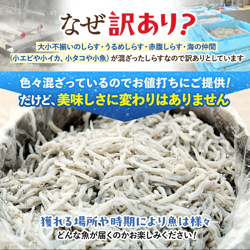 訳あり 釜揚げ しらす 350g~2㎏ 減塩 日間賀島 冷凍 丸豊