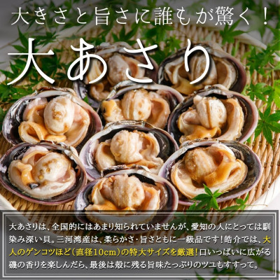海鮮バーベキューセット 1kg(大アサリ500g＋サザエ500g) 大アサリ専用だし醤油付き あさり アサリ 浅利 サザエ さざえ 栄螺 海鮮 バーベキュー BBQ あさり アサリ 浅利 サザエ
