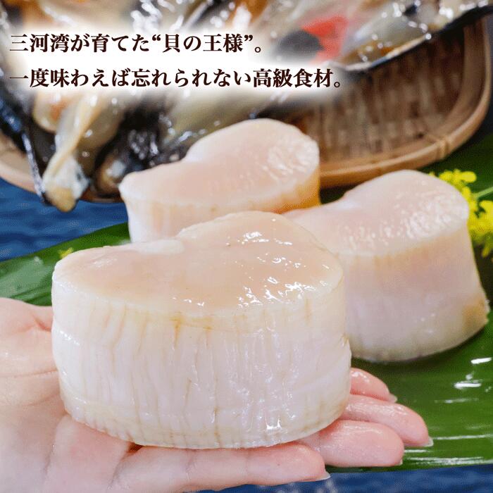 天然 平貝 むき身 セット 特特大サイズ 1-10個 選べる タイラギ 魚貝 愛知県 南知多町