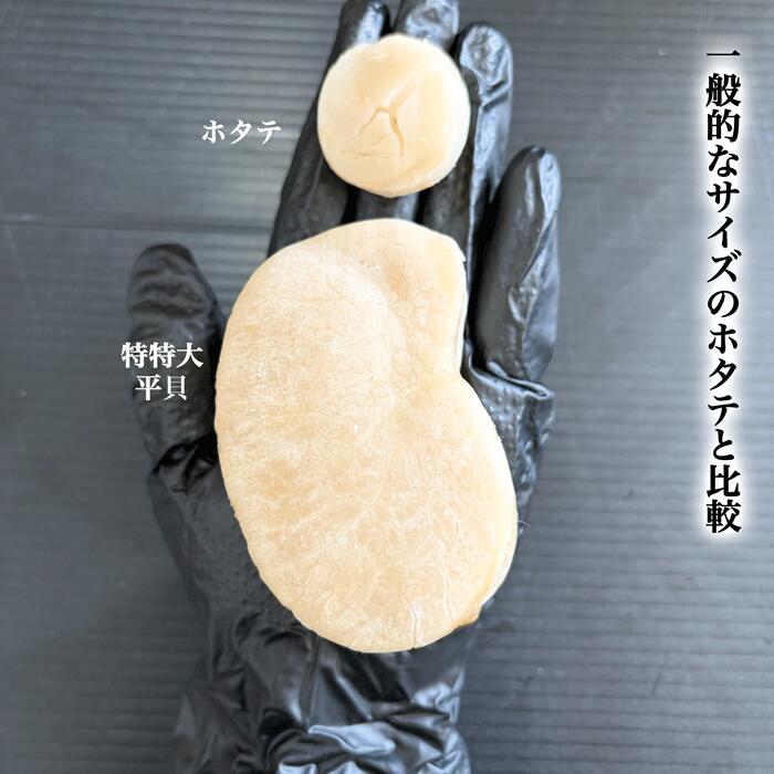 天然 平貝 むき身 セット 特特大サイズ 1-10個 選べる タイラギ 魚貝 愛知県 南知多町