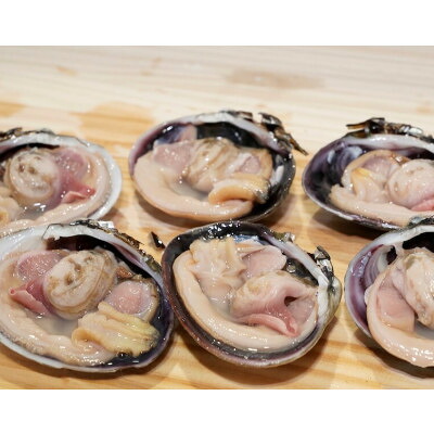 大アサリ 約 1kg (11～13切) 下処理済 だし醤油 セット 冷凍 砂出し 簡単 調理 新鮮 オオムラサキ 大あさり 砂抜き 海鮮BBQ あさり アサリ 海鮮バーベキュー BBQ バーベキュー