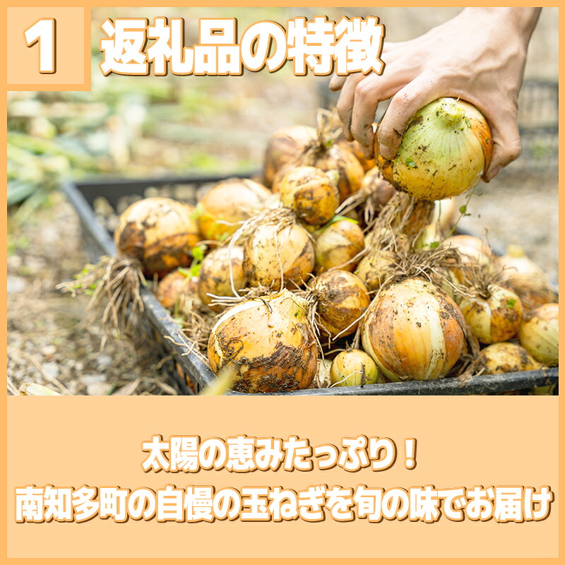 【2027年先行予約 5～6月出荷】 訳あり 玉ねぎ 3-10kg 野菜 オニオン 甘い 玉葱 肉じゃが ハンバーグ 家庭用 大きさ不揃い
