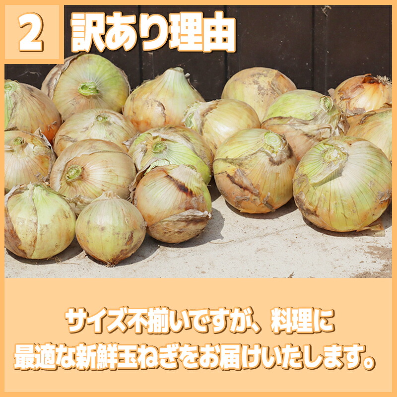 【2027年先行予約 5～6月出荷】 訳あり 玉ねぎ 3-10kg 野菜 オニオン 甘い 玉葱 肉じゃが ハンバーグ 家庭用 大きさ不揃い