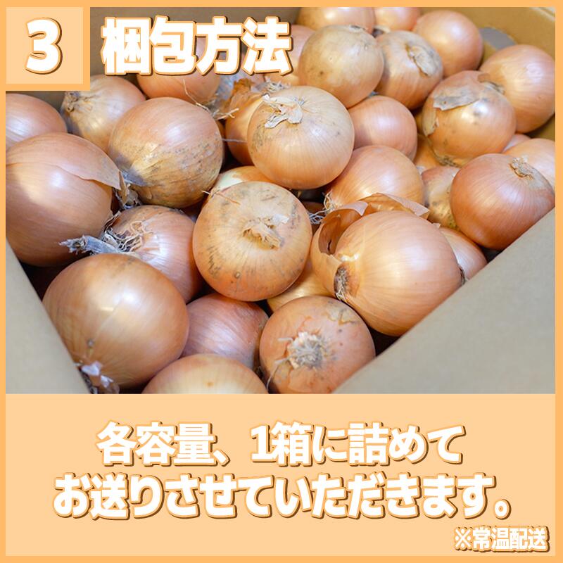 【2027年先行予約 5～6月出荷】 訳あり 玉ねぎ 3-10kg 野菜 オニオン 甘い 玉葱 肉じゃが ハンバーグ 家庭用 大きさ不揃い