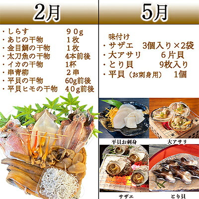 <発送月固定定期便>しらすと天然貝の定期便 全4回 愛知県 南知多町 人気 おすすめ
