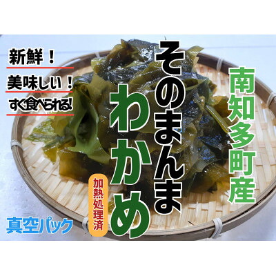 真空 そのまんま わかめ 100g