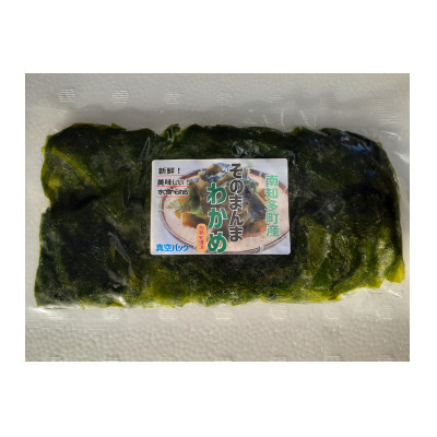 真空 そのまんま わかめ 100g × 8 パック 冷凍 真空パック ワカメ 味噌汁 サラダ  海鮮 新鮮 魚介 海の幸 海産物 刺身 国産 シーフードエム・エム 愛知県 南知多町