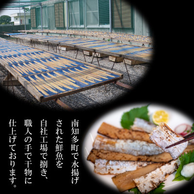 干物 セット 人気 旬 おまかせ 3～5種 鯛 フグ アジ 太刀魚 イワシ マメダイ タコ カマス サバ 冷凍 干物 鰯 海の幸 鯖 ひもの 詰め合わせ 海鮮 タチウオ 干物セット 魚介 ふぐ