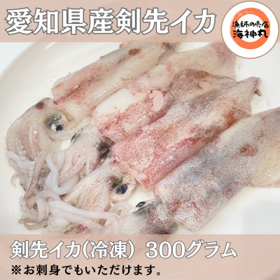 剣先イカ(アカイカ)2袋 小分け 冷凍 刺身 ケンサキイカ ふらい にもの みなみちたちょう いか 料理 おかず 天ぷら フライ 煮物 いか 南知多剣先いか 焼きそば お好み焼き 炒め物 いか 愛知県