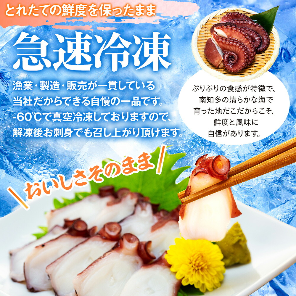 地だこボイル ５パック (100g×5) 冷凍 たこ タコ 蛸 海鮮 海産物 たこ飯 たこ焼き アヒージョ たこ唐揚げ おつまみ お酒 ご飯 おかず 自家製チョジャン付き おすすめ 人気 愛知県