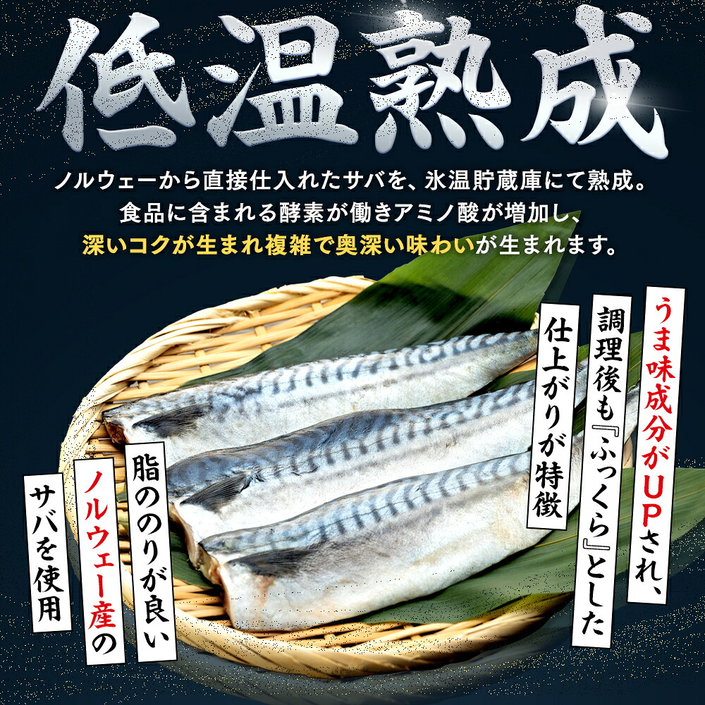 訳あり 塩サバ 3~12枚 約450g~約1.8kg 冷凍 鯖 塩 さば 魚 さかな 海鮮 海産物 おかず サバ フィレ 鯖ご飯 おすすめ 人気 さば サバ サバフィレ 鯖 魚 魚介 海鮮 惣菜 塩サ