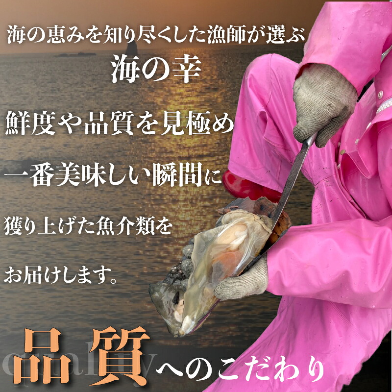 愛知県産平貝(タイラギ)ステーキ貝柱2個入 4パック 平貝 貝類 貝柱 貝 魚介類 夕食 晩ごはん 料理 簡単料理 人気かい 南知多 愛知