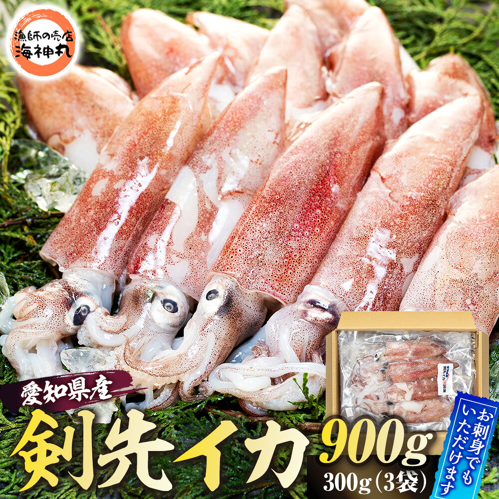 剣先イカ(アカイカ) 3袋 小分け 冷凍 刺身 ケンサキイカ ふらい にもの みなみちたちょう いか 料理 おかず 天ぷら フライ 煮物 いか 南知多剣先いか 焼きそば お好み焼き 炒め物 いか 愛知