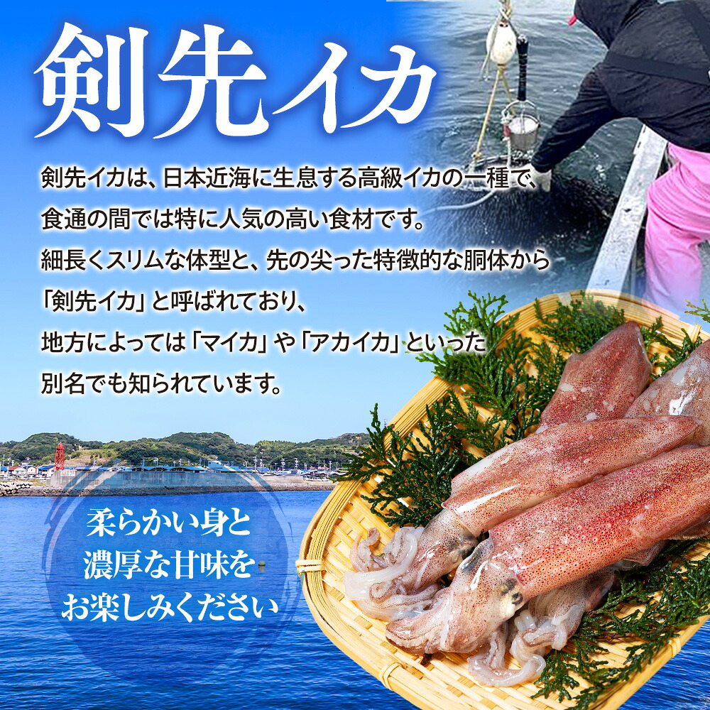 剣先イカ(アカイカ) 3袋 小分け 冷凍 刺身 ケンサキイカ ふらい にもの みなみちたちょう いか 料理 おかず 天ぷら フライ 煮物 いか 南知多剣先いか 焼きそば お好み焼き 炒め物 いか 愛知