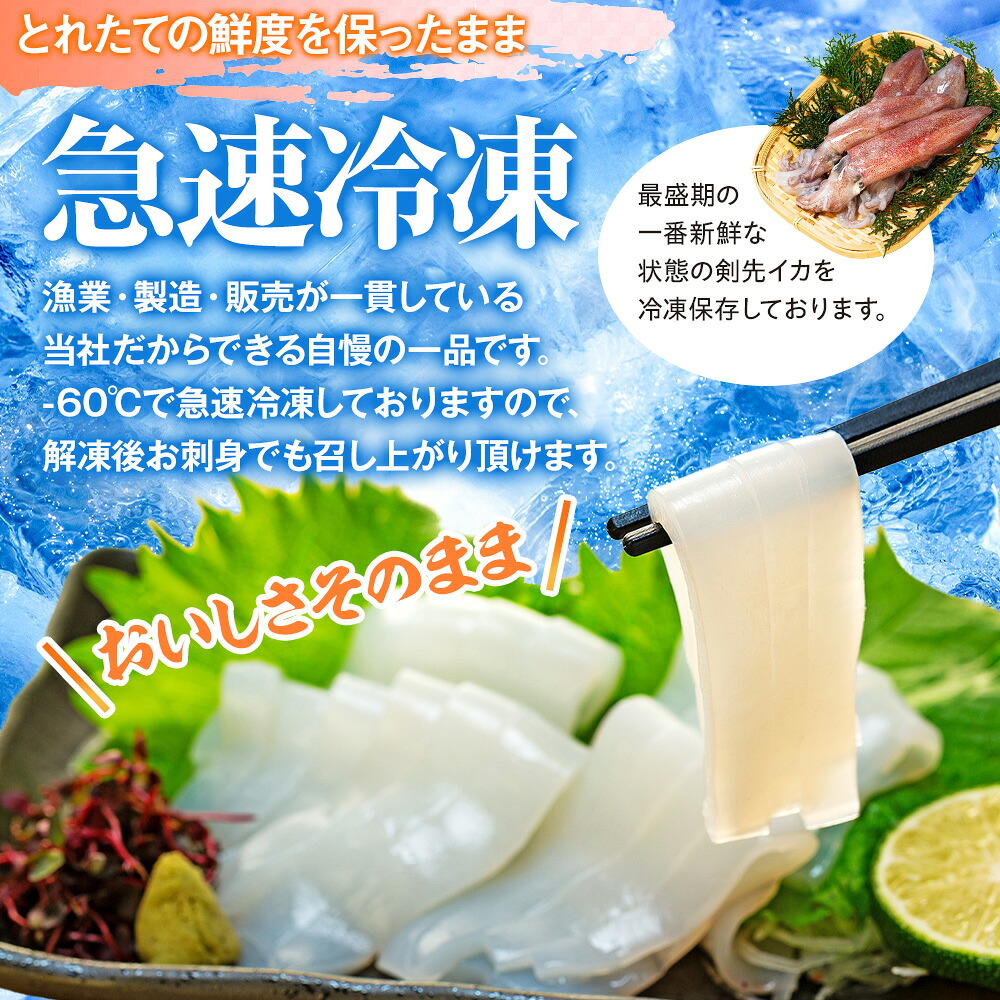 剣先イカ(アカイカ) 3袋 小分け 冷凍 刺身 ケンサキイカ ふらい にもの みなみちたちょう いか 料理 おかず 天ぷら フライ 煮物 いか 南知多剣先いか 焼きそば お好み焼き 炒め物 いか 愛知