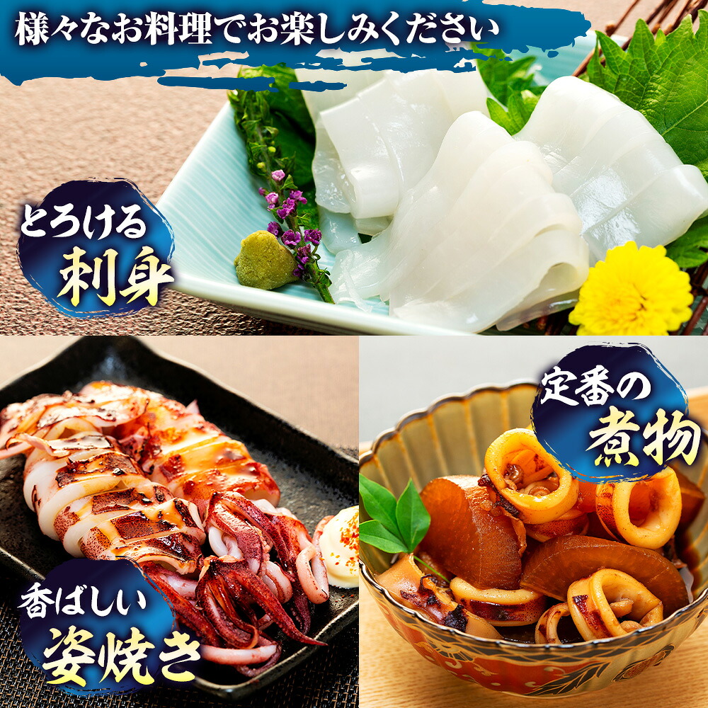 剣先イカ(アカイカ) 3袋 小分け 冷凍 刺身 ケンサキイカ ふらい にもの みなみちたちょう いか 料理 おかず 天ぷら フライ 煮物 いか 南知多剣先いか 焼きそば お好み焼き 炒め物 いか 愛知