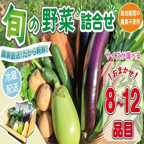 【容量選べる】野菜セット (8~12品目) 旬 季節 南知多産 詰め合わせ 農薬・化学肥料不使用 農家おまかせ 季節の野菜 旬の野菜 料理 とりのさと農園 愛知県 南知多町