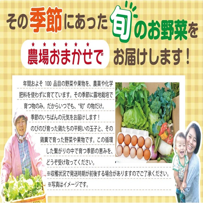 【容量選べる】野菜セット (8~12品目) 旬 季節 南知多産 詰め合わせ 農薬・化学肥料不使用 農家おまかせ 季節の野菜 旬の野菜 料理 とりのさと農園 愛知県 南知多町