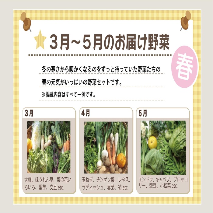 【容量選べる】野菜セット (8~12品目) 旬 季節 南知多産 詰め合わせ 農薬・化学肥料不使用 農家おまかせ 季節の野菜 旬の野菜 料理 とりのさと農園 愛知県 南知多町