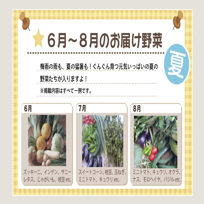 【容量選べる】野菜セット (8~12品目) 旬 季節 南知多産 詰め合わせ 農薬・化学肥料不使用 農家おまかせ 季節の野菜 旬の野菜 料理 とりのさと農園 愛知県 南知多町