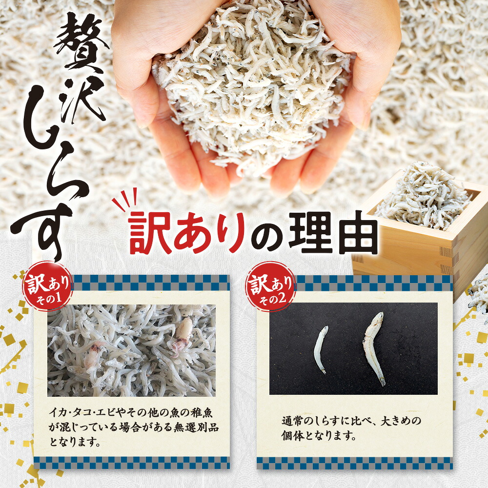 【選べる容量】訳ありしらす干し 塩蔵わかめ セット 合計650~1.45kg 訳あり 冷凍 しらす干し 塩蔵 わかめ チャック付き ごはん お味噌汁 丼 パスタ
