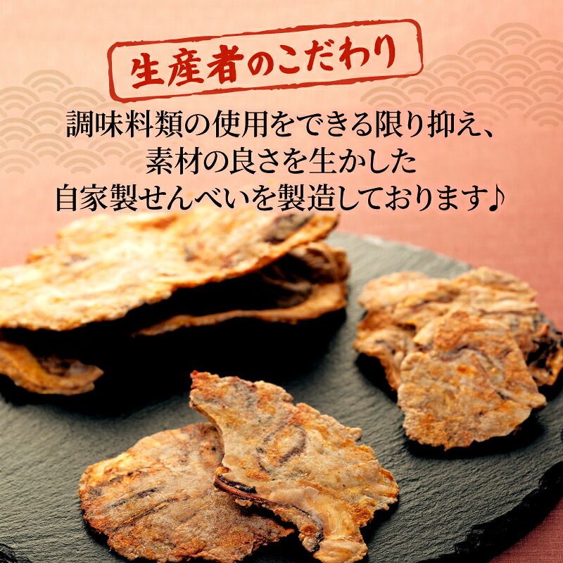 容量選べる 訳あり いか 唐揚げ せんべい 100g × 3-5袋 自家製 ミネラル 天然 塩 小分け からあげ われせん せんべい 不揃い 愛知県 南知多町 煎餅 シママース 人気 おすすめ センベイギフト おすす