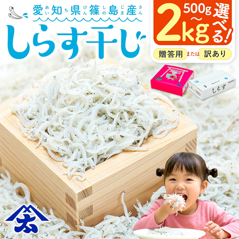 しらす干し 500g~2kg 訳あり 贈答 篠島産 ブランド 人気 ランキング 美味しい 規格外 小分け 便利 しらす 家庭用 愛知県 南知多町