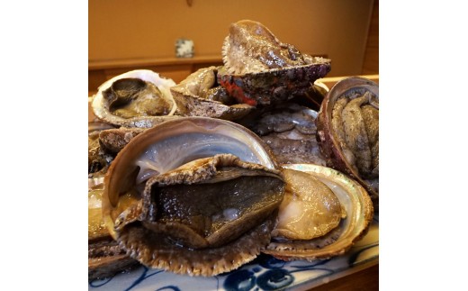 【 三重県伊勢市 】 お食事券 伊勢三玄 おまかせ料理 (1名様分) 日本料理 会席料理 贈り物 贅沢 体験 チケット 観光 グルメ 和食 食事券 伊勢志摩 三玄 三重 伊勢 (1598)