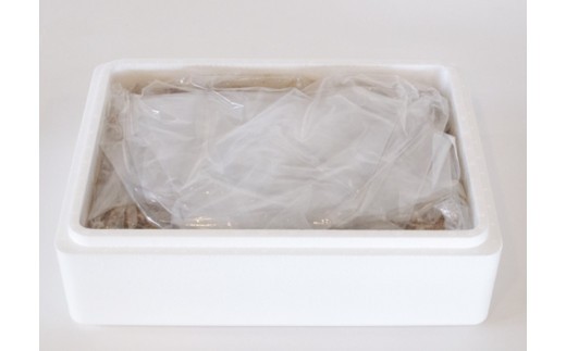 老舗 漬物屋 ぬか床 1kg ぬか漬け 漬物ライフ つけもの 腸活 伊勢市 伊勢志摩 三重 伊勢沢庵 各種漬物 製造本舗 お取り寄せ 和食 ごはんのお供 ご飯がススム 林商店 三重 伊勢 （1573）