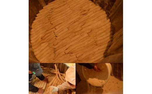 熟成 伊勢たくあん 2年物 小パック 50g×3袋 老舗漬物屋 漬物 つけもの 発酵 腸活 伊勢市 伊勢志摩 伊勢沢庵 各種漬物 製造本舗 お取り寄せ 和食 米がススム 林商店 三重 伊勢 （1575）