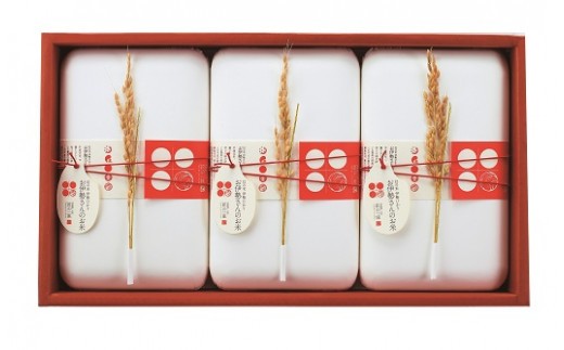 お伊勢さん お米 2.7kg 詰め合わせ 〈伊勢のくに 匠の一座〉 匠の穂 縁起米 イセヒカリ ギフト 贈り物 個包装 こめ コメ kome 伊勢志摩 三重 伊勢 (823)