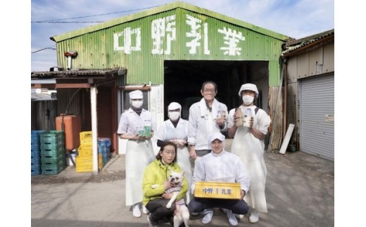 ヨーグルト 12個入り 中野ヨーグルト お楽しみ セット 発酵食品 美味しい なめらか 乳製品 瓶ヨーグルト レトロ 中野乳業 三重 伊勢 （371）