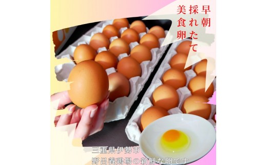 1520 こだわり 自慢のたまご 美食卵 30個 伊勢産 野呂養鶏場 ふるさと納税 玉子 国産 新鮮 濃厚 たまご 卵 生卵 とれたて 卵かけごはん TKG お取り寄せ グルメ 伊勢志摩 三重県 伊勢
