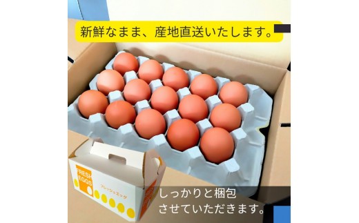1520 こだわり 自慢のたまご 美食卵 30個 伊勢産 野呂養鶏場 ふるさと納税 玉子 国産 新鮮 濃厚 たまご 卵 生卵 とれたて 卵かけごはん TKG お取り寄せ グルメ 伊勢志摩 三重県 伊勢