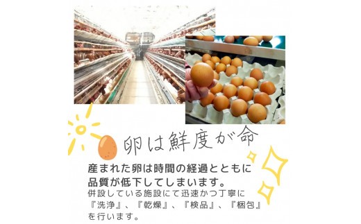 1521 こだわり 自慢のたまご 美食卵 60個 伊勢産 野呂養鶏場 ふるさと納税 玉子 国産 新鮮 濃厚 たまご 卵 生卵 とれたて 卵かけごはん TKG お取り寄せ グルメ 伊勢志摩 三重県 伊勢