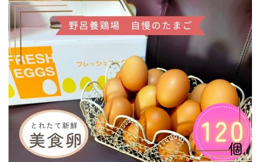1522 こだわり 自慢のたまご 美食卵 120個 伊勢産 野呂養鶏場 ふるさと納税 玉子 国産 新鮮 濃厚 たまご 卵 生卵 とれたて 卵かけごはん TKG お取り寄せ グルメ 伊勢志摩 三重県 伊