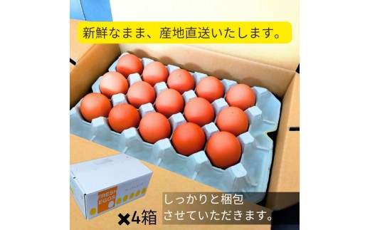 1522 こだわり 自慢のたまご 美食卵 120個 伊勢産 野呂養鶏場 ふるさと納税 玉子 国産 新鮮 濃厚 たまご 卵 生卵 とれたて 卵かけごはん TKG お取り寄せ グルメ 伊勢志摩 三重県 伊