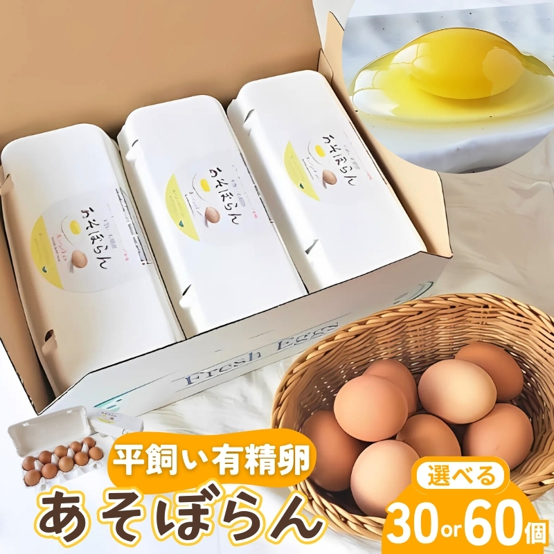 卵 平飼い有精卵 あそぼらん 30個