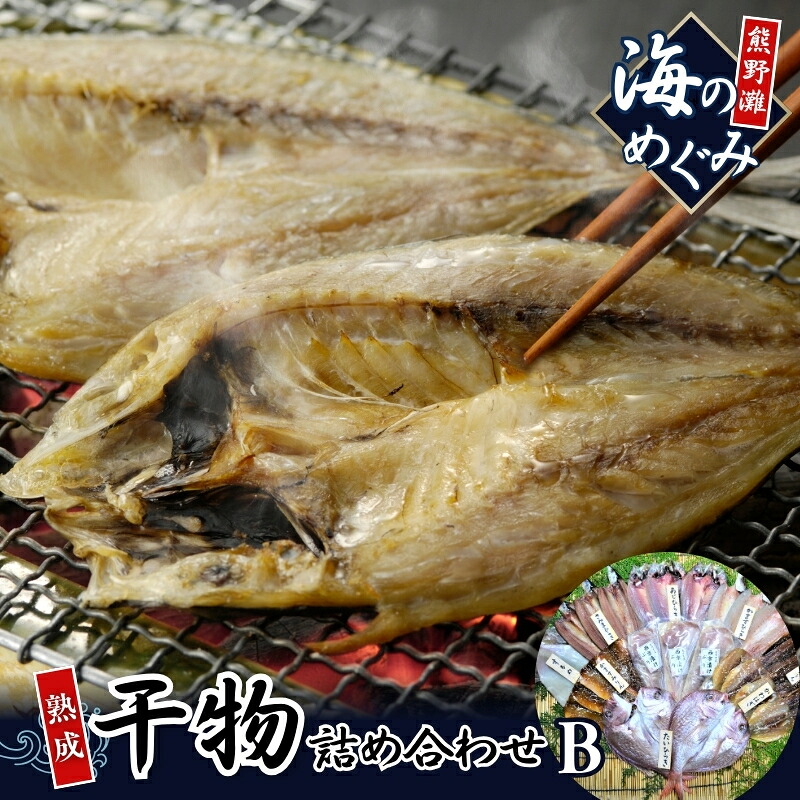 【干物 セット】海の恵み B 9種 詰め合わせ 干物 アジ サンマ 鯛 たい イカ スルメイカ カマス カワハギ 魚 魚介 海鮮 鮮魚 海産物 簡単調理 人気 三重県 熊野市 明治9年創業 畑辰商店【hatt0002】