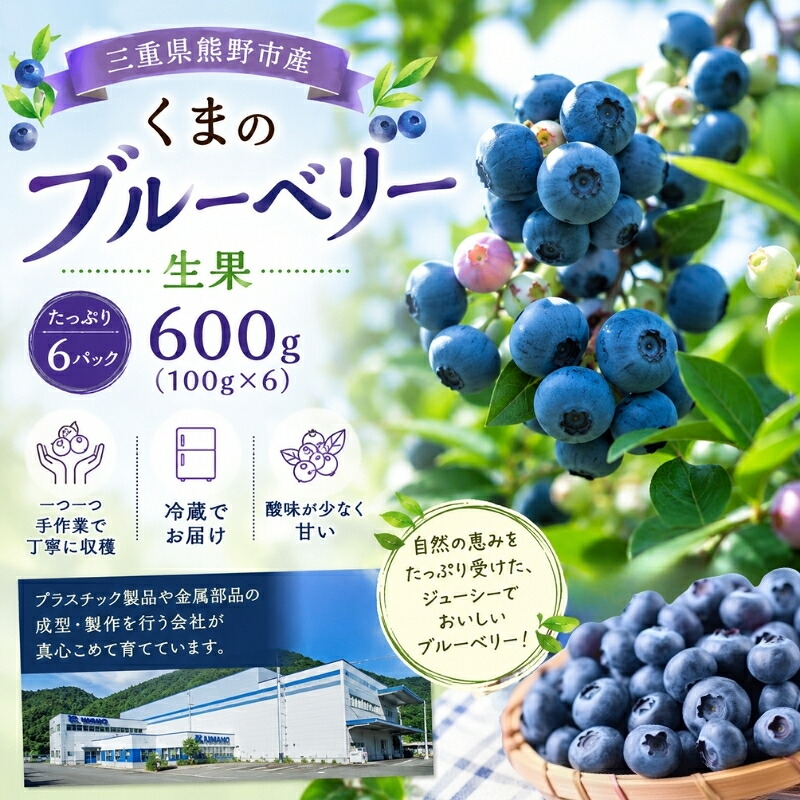 くまのブルーベリー 生果 600g