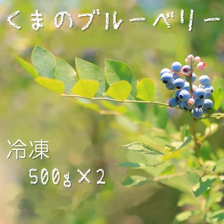 くまのブルーベリー 冷凍 1kg
