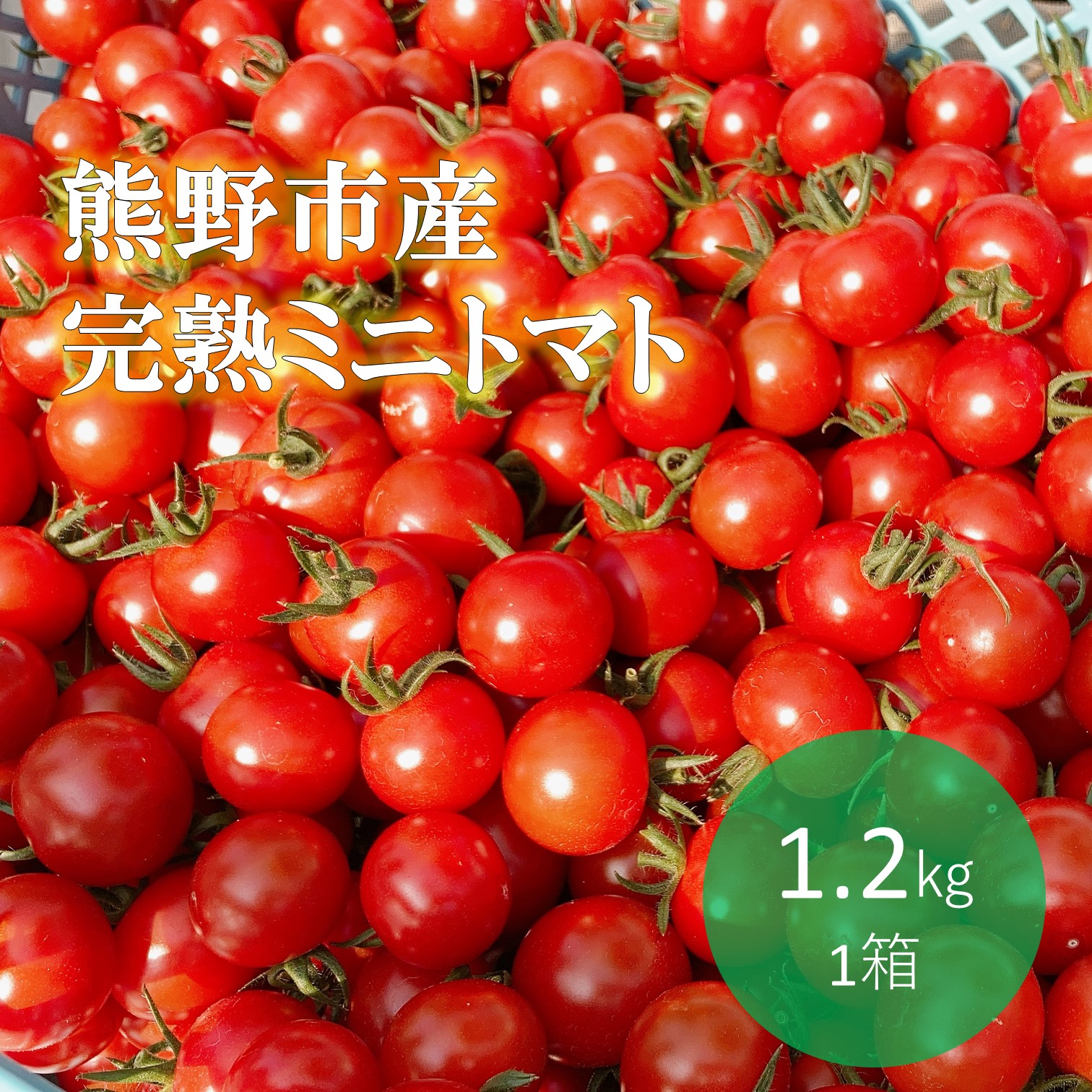 熊野薬草園のミニトマト 1.2kg