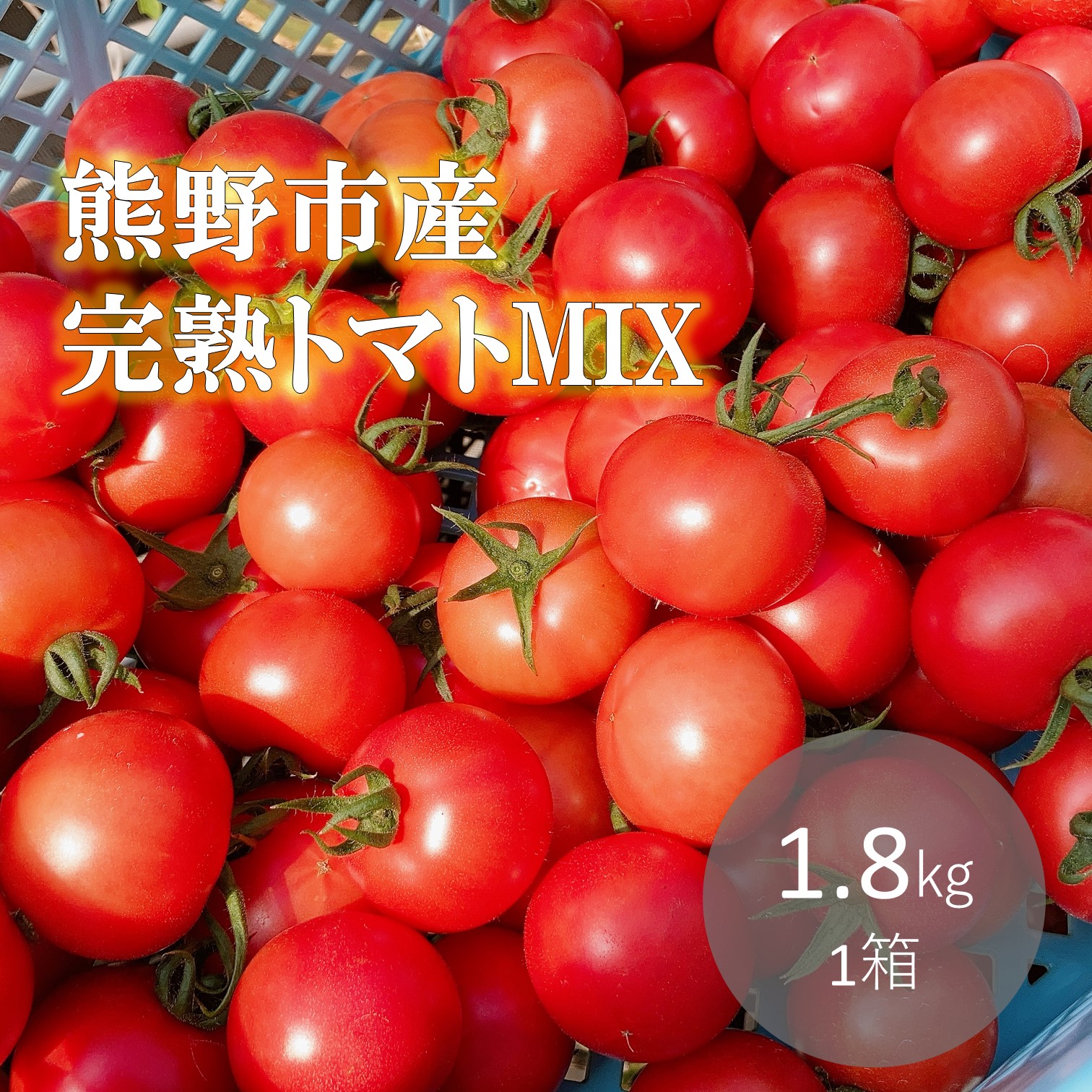 【2027年1月以降配送】熊野薬草園のトマトMIX(1.8kg) トマト ミックス お楽しみ 熊野 予約受付【kmys0003A】