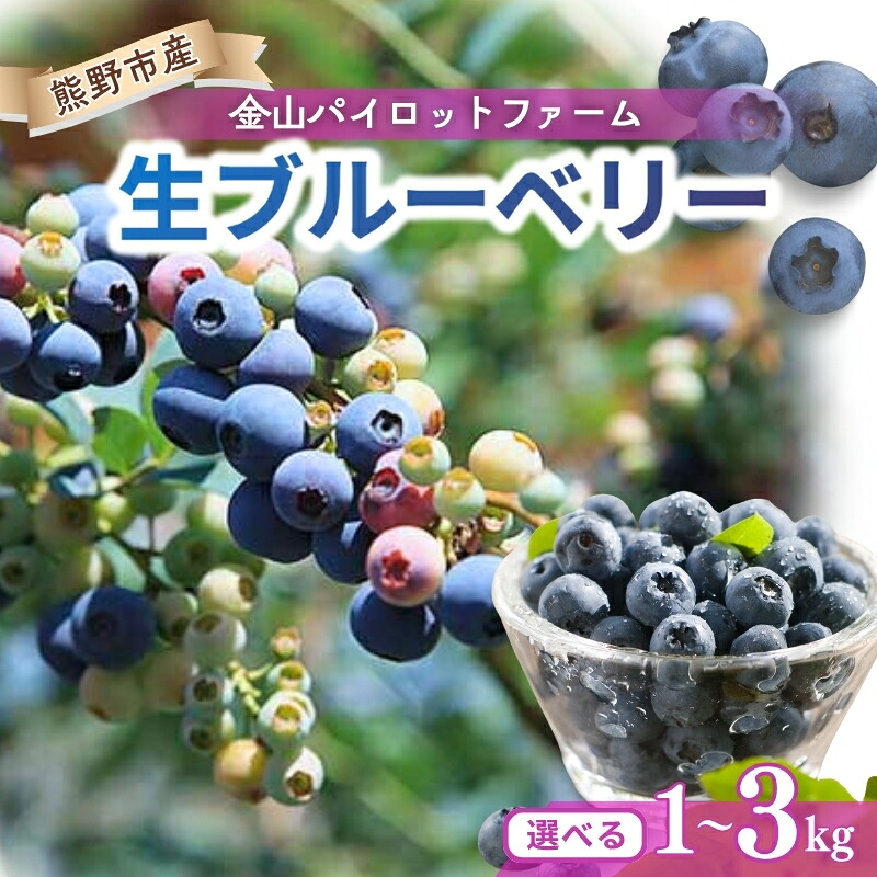 【数量限定】生果ブルーベリー 大粒 フルーツ 果物 スムージー デザート 特産品 人気 国産 旬 金山パイロットファーム 三重県 熊野市【knpr0006A-knpr0007A-knpr0008A】